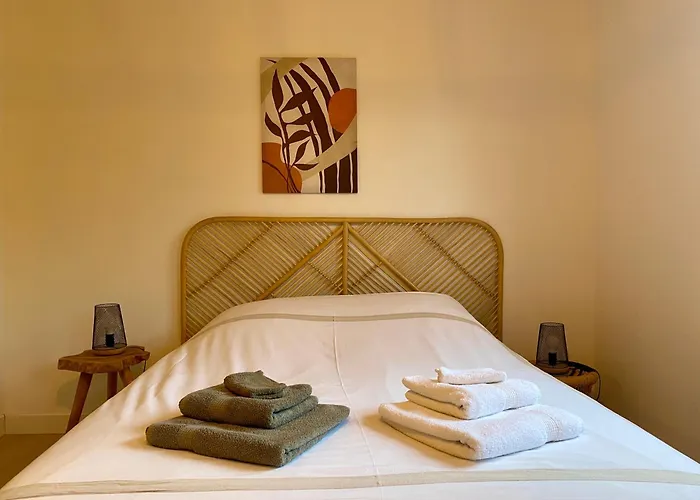 Proche Centre-ville- Fibre Lejlighed